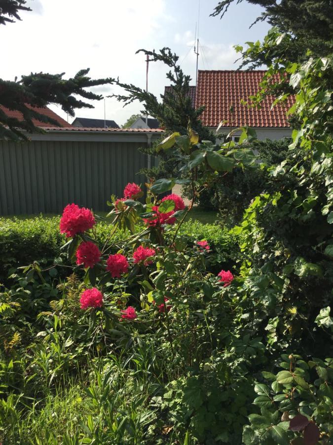 Appartement Anneks Til Bondehus à Randers Extérieur photo